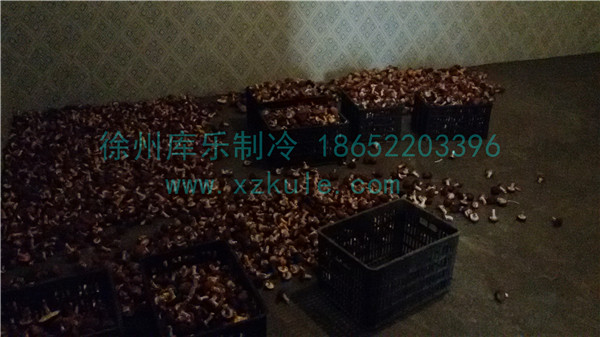 ����Ģ����ӹ�ʳƷ���